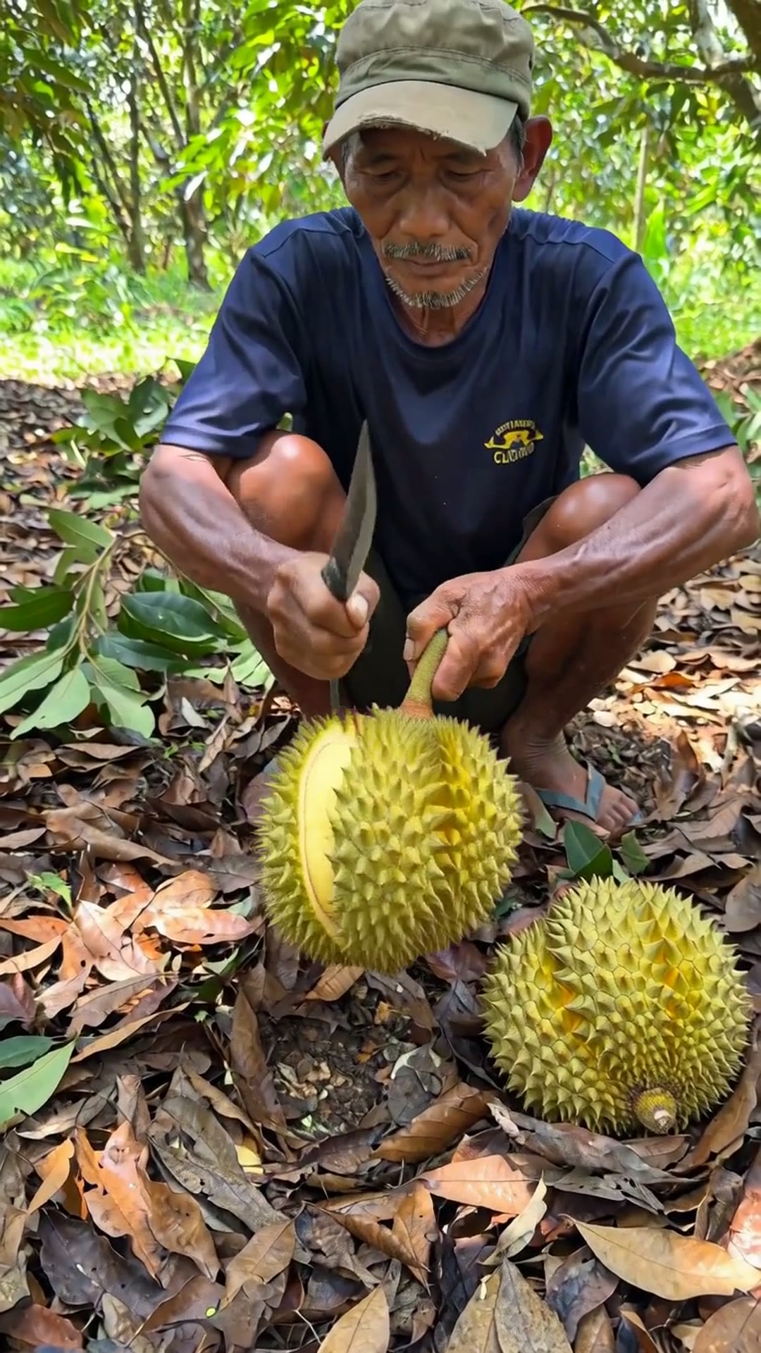 Ni Jatuh Pagi Tadi — Dusun Musang King — AI generated 9:16 film frame