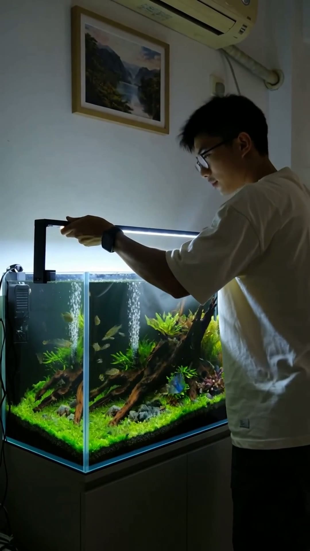 Aquarium Light — 新缸亮灯 — AI generated 9:16 film frame